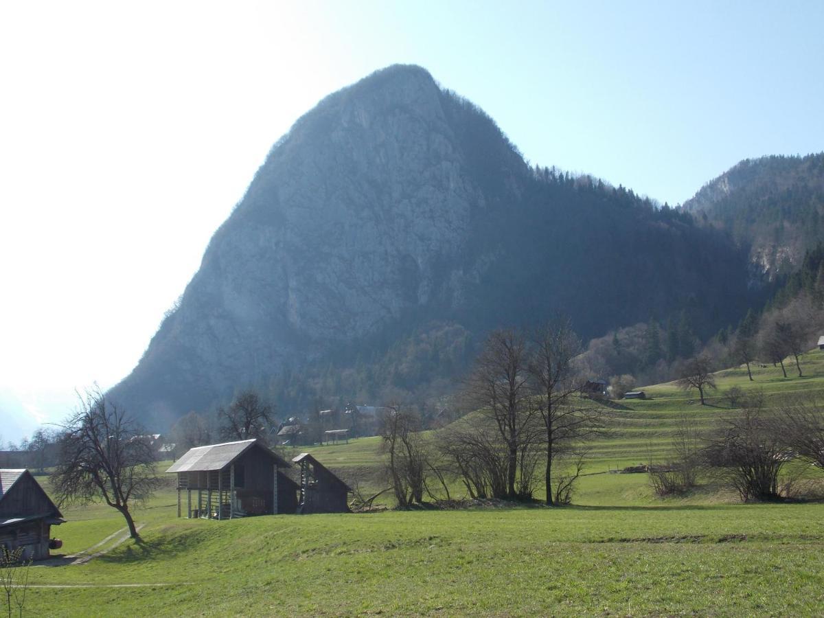 Apartments Joze Pekovec Bohinj Esterno foto