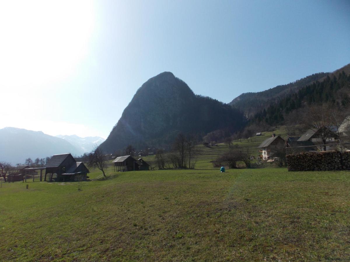 Apartments Joze Pekovec Bohinj Esterno foto